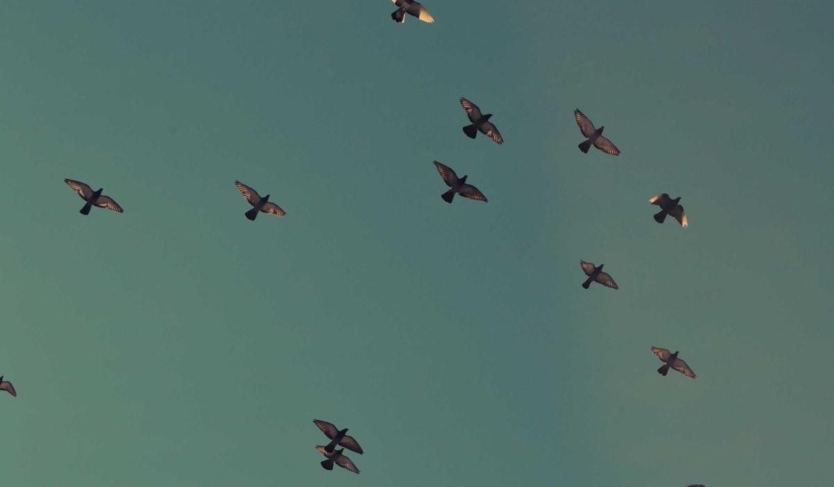 Kültür Sanat Makale 2