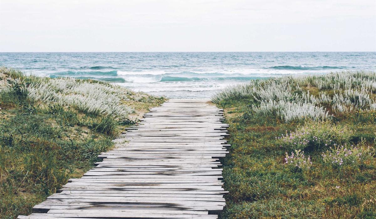 Beslenme Biyografi 7