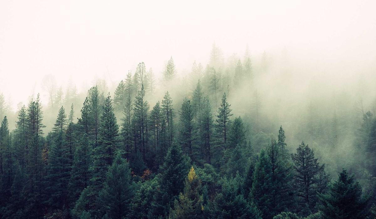 Gündem Vefat Haberi 5