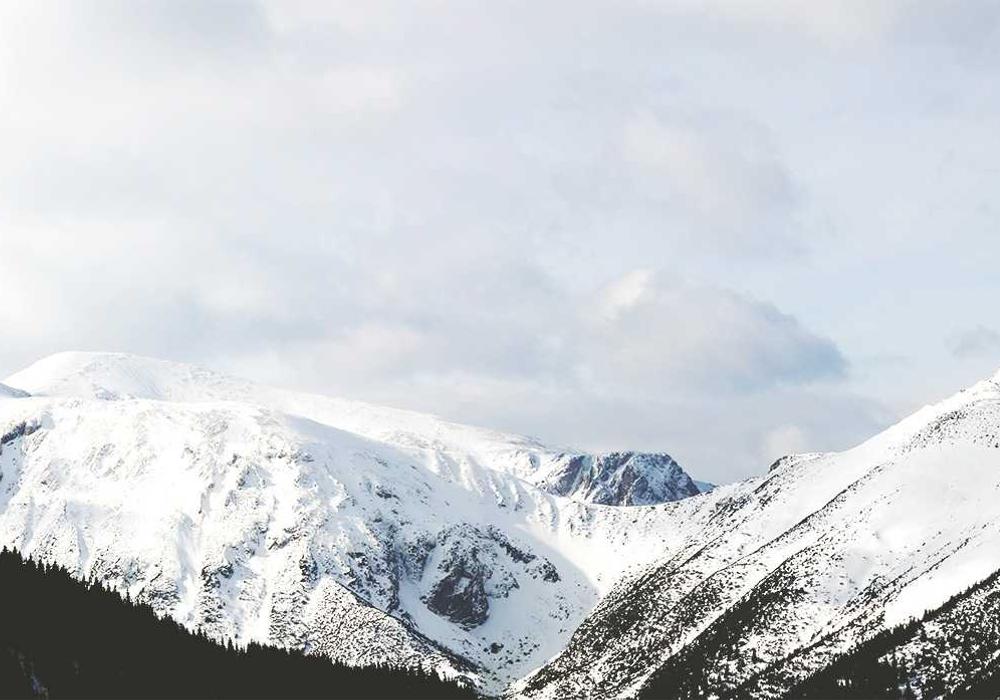 Emlak galeri görsel 1 - 5