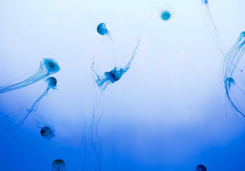 Emlak galeri görsel 3 - 5