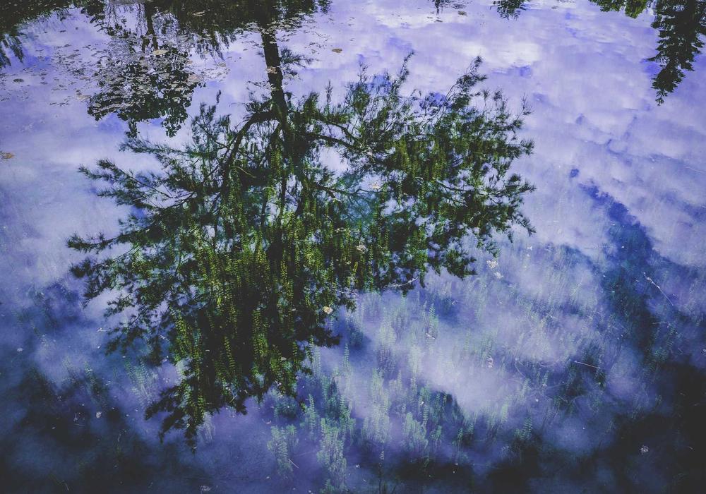 Emlak galeri görsel 1 - 9