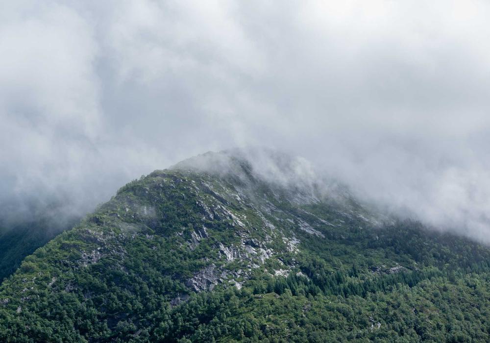 Kariyer galeri görsel 2 - 4