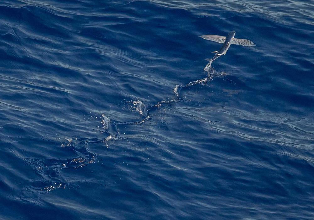 Mobil galeri görsel 3 - 2