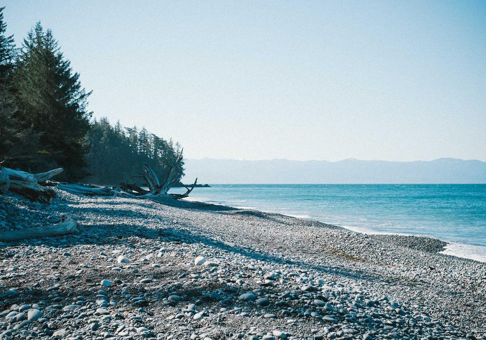 Mobil galeri görsel 2 - 3