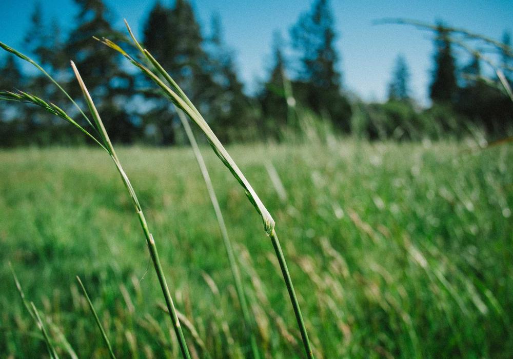 Mobil galeri görsel 1 - 6