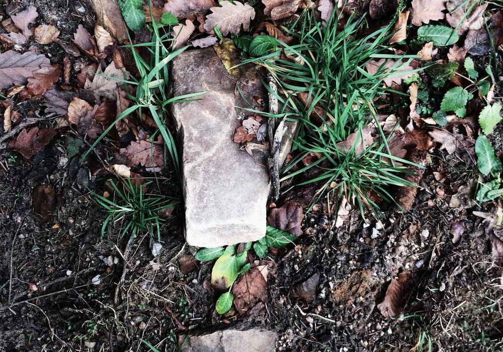 Mobil galeri görsel 2 - 6