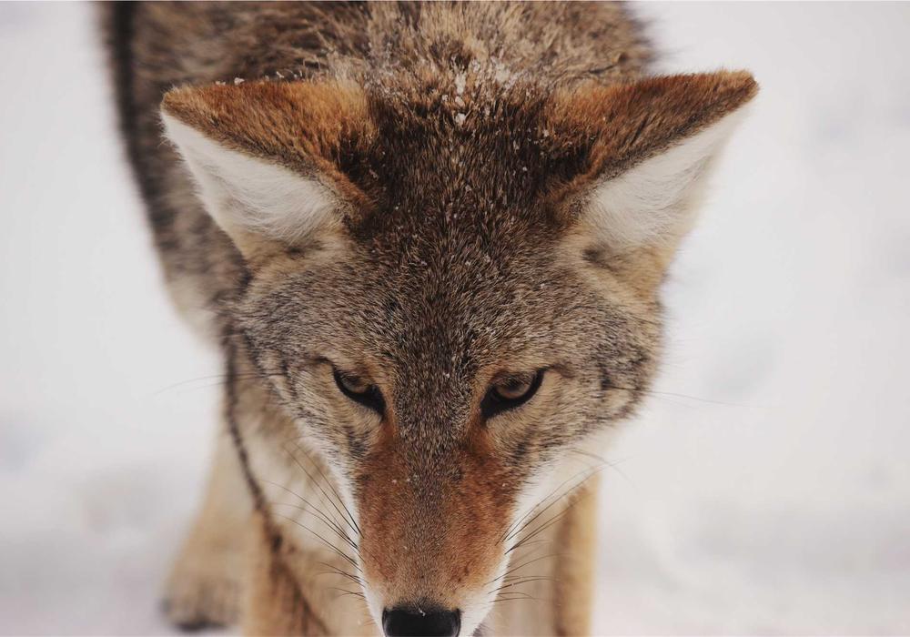 Mobil galeri görsel 2 - 9