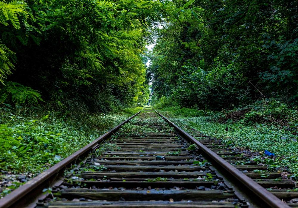 Sağlık galeri görsel 1 - 3