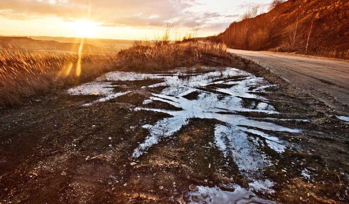 Dünya Video İçerik 6