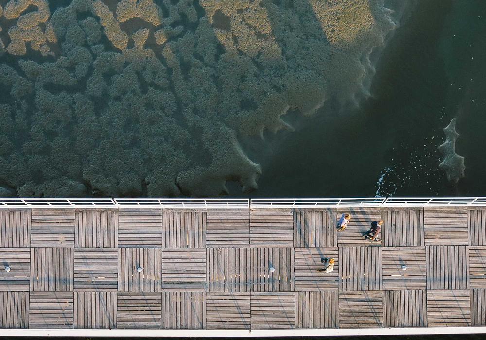 Eğitim video galeri görsel 2 - video 4