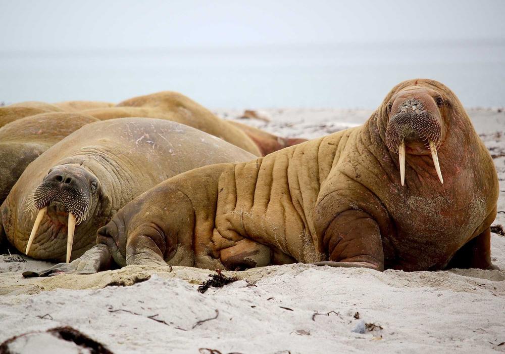 Gündem video galeri görsel 3 - video 4