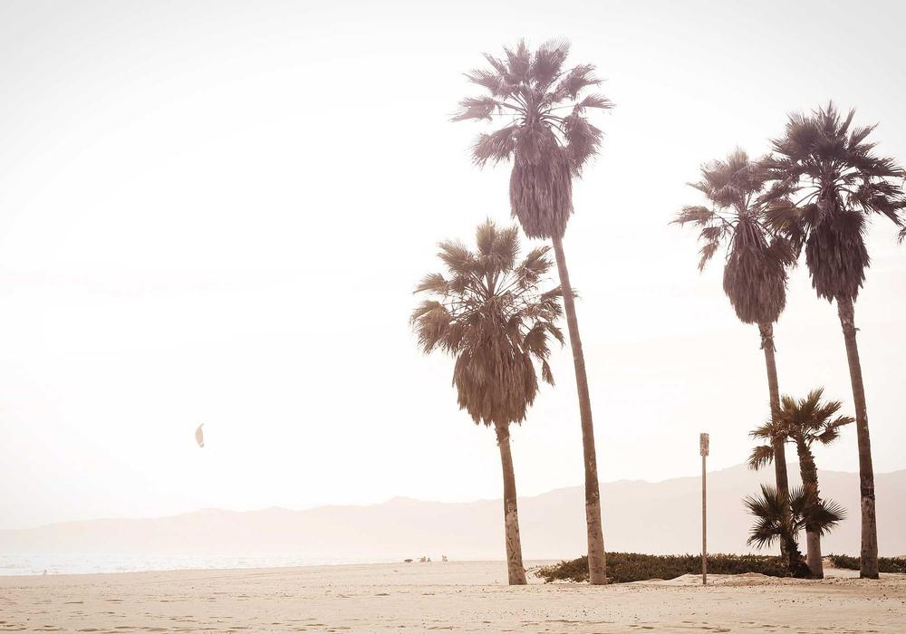 Gündem video galeri görsel 3 - video 8