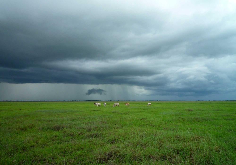 Kariyer video galeri görsel 1 - video 2