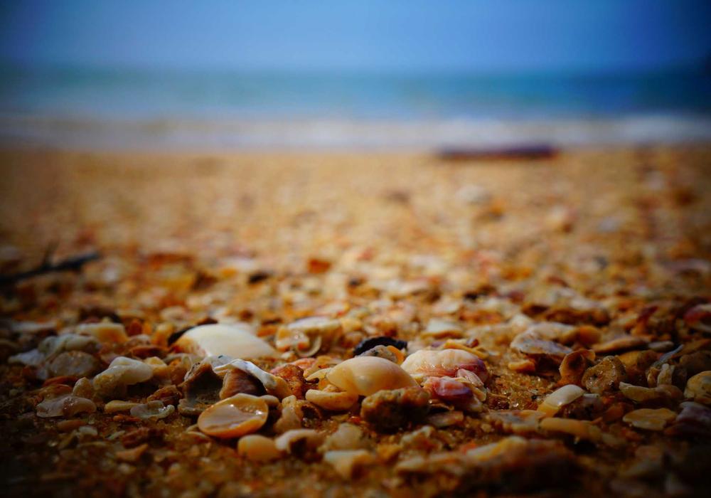 Mobil video galeri görsel 1 - video 1