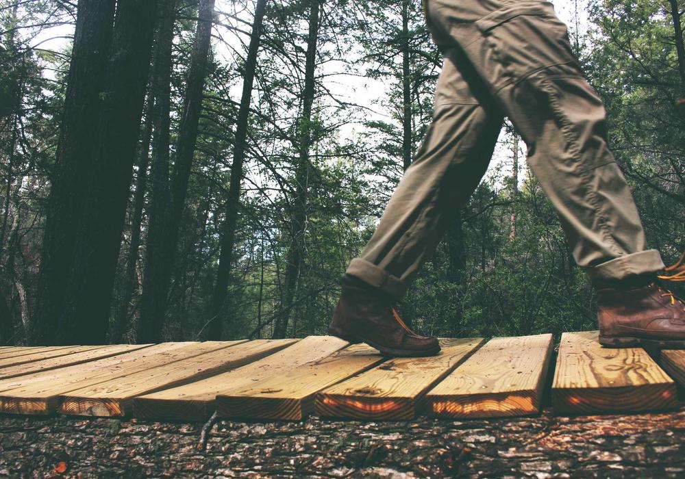 Mobil video galeri görsel 2 - video 9