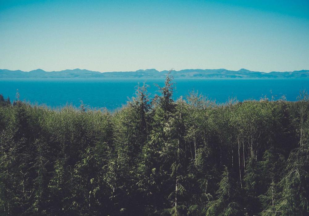 Mobil video galeri görsel 3 - video 9