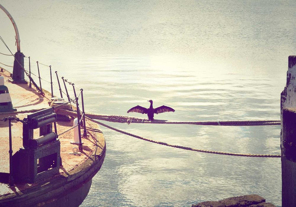 Okullar video galeri görsel 2 - video 1