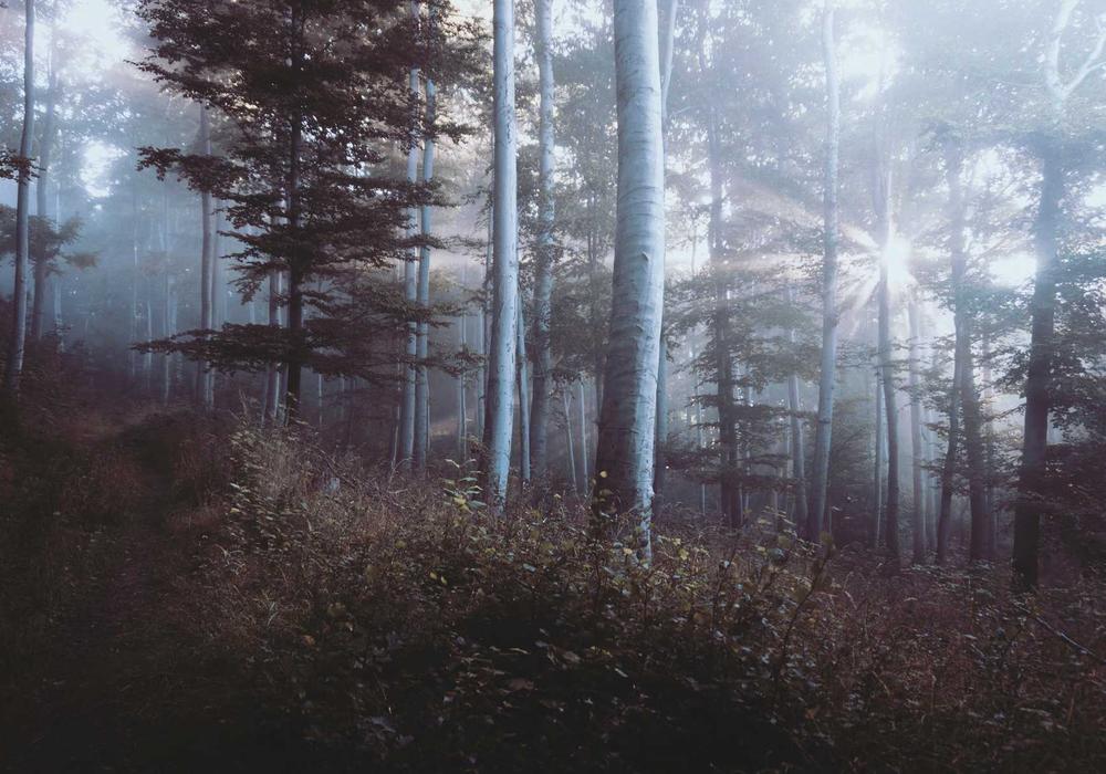 Okullar video galeri görsel 2 - video 8