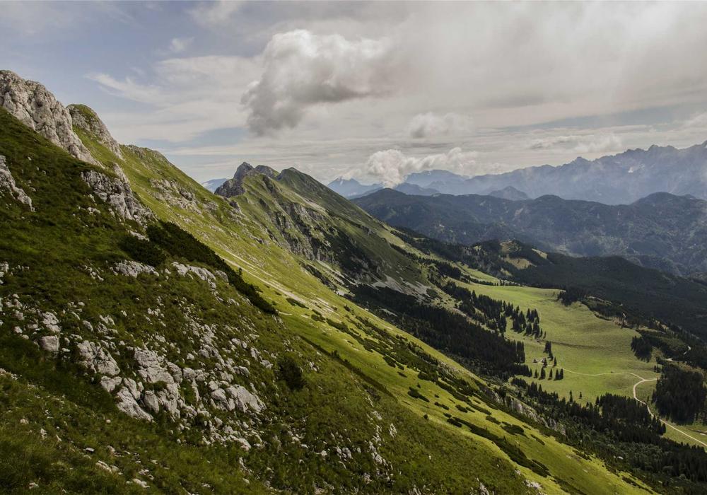 Sınavlar video galeri görsel 2 - video 1