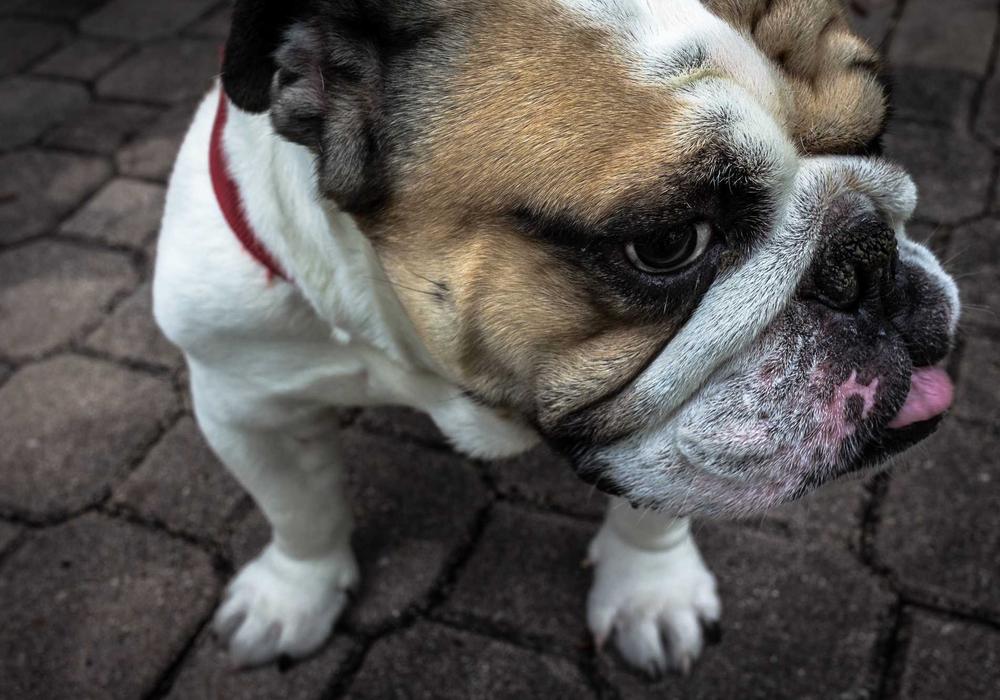 Spor video galeri görsel 1 - video 8