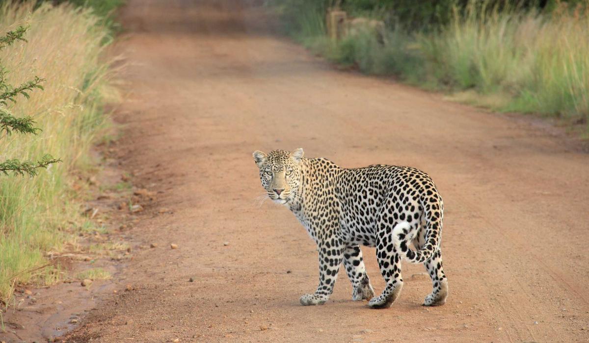 Kariyer Video İçerik 6