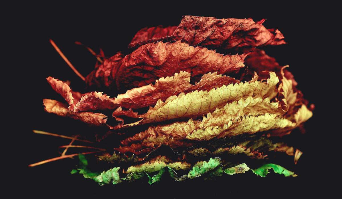 Mobil Video İçerik 1