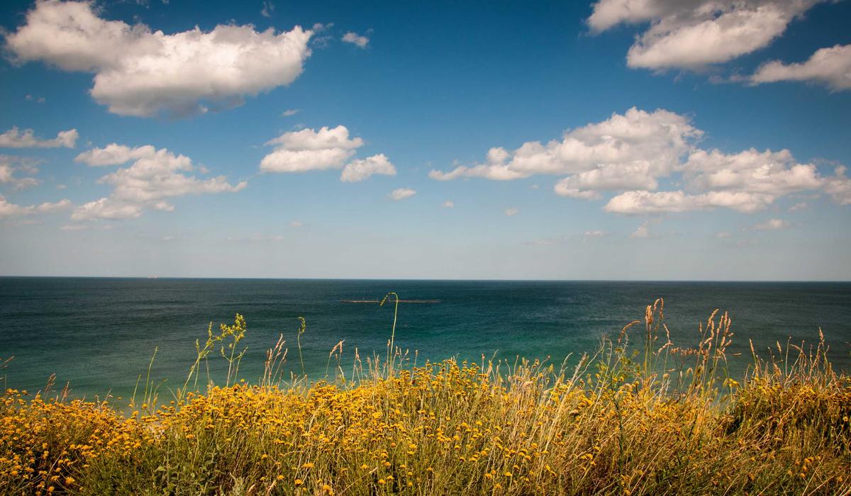 Mobil Video İçerik 10